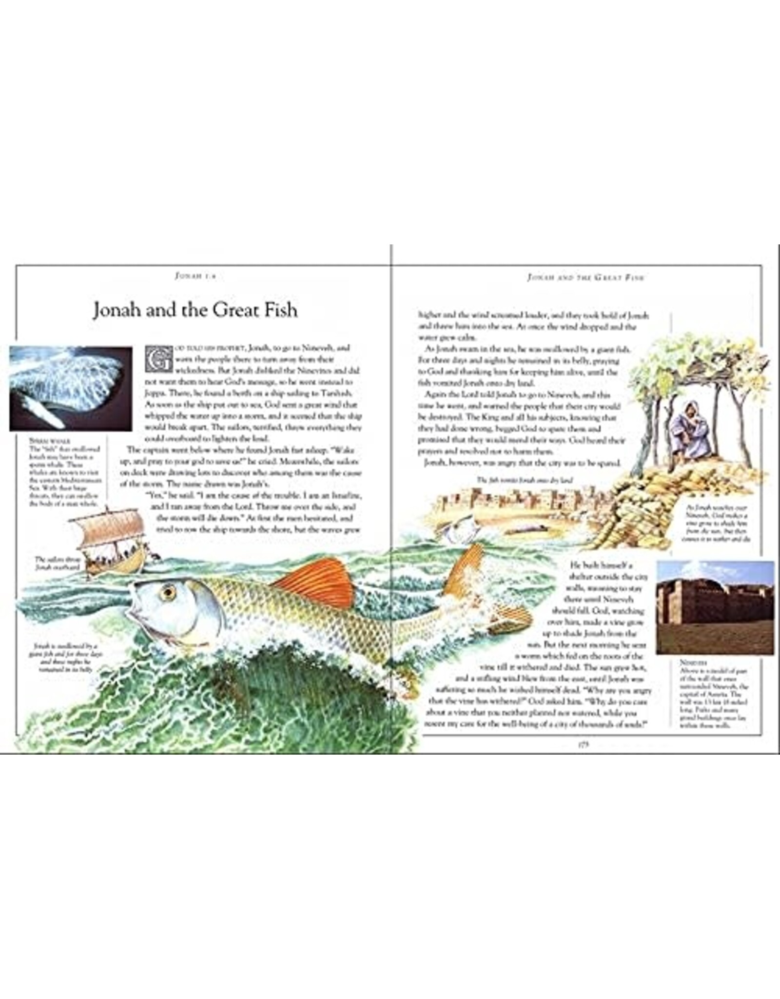 DK Publishing Children's Illustrated Bible