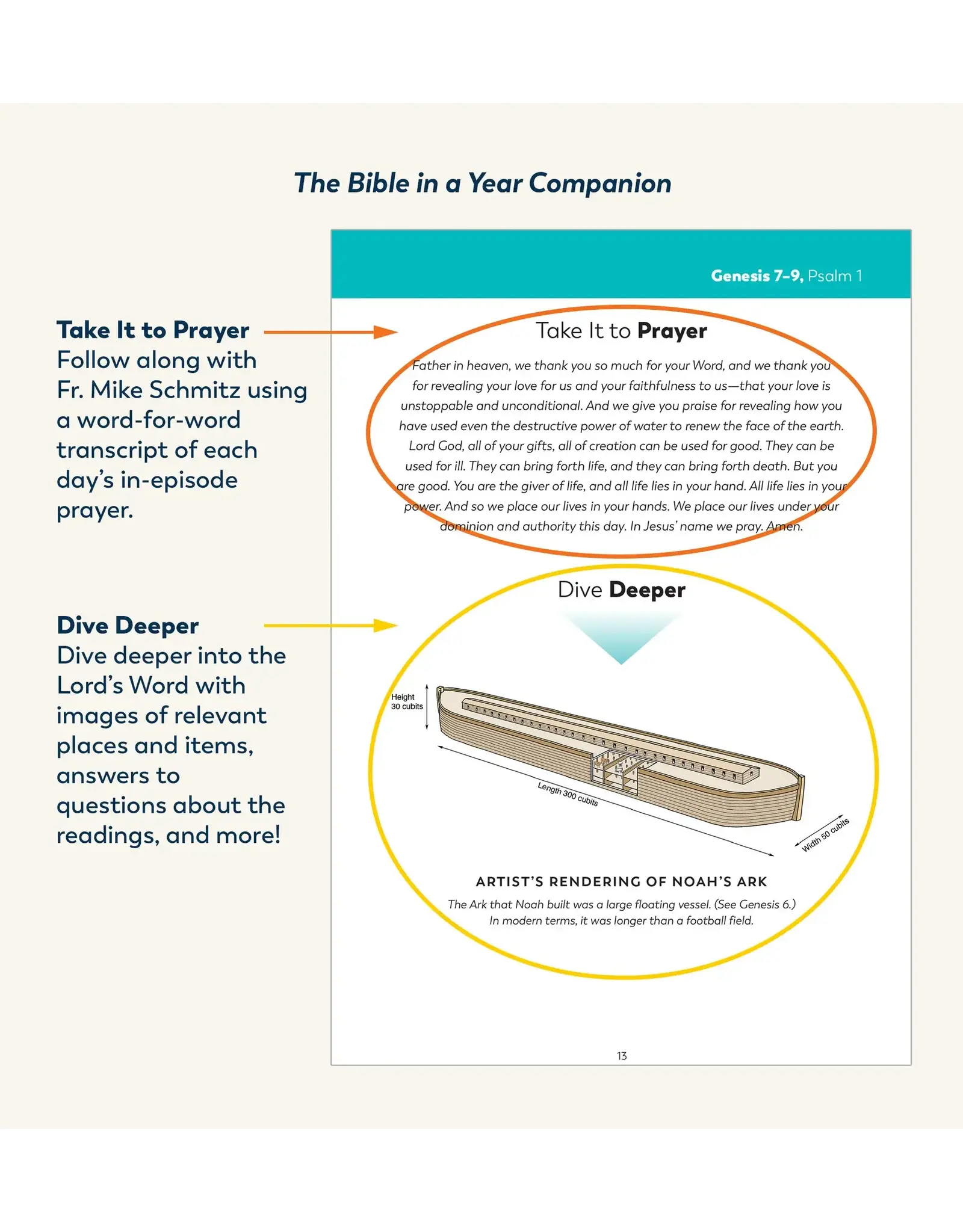 Ascension Press Bible in a Year Companion, Volume II