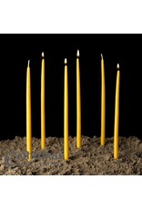 Cathedral Candle Devotional Tapers, 100% Beeswax, Unbleached (260)