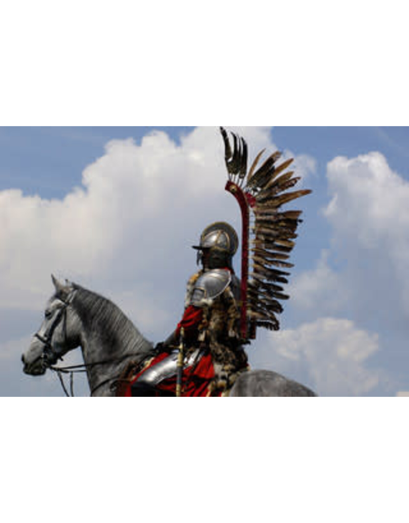 Ignatius Press Siege of Vienna DVD