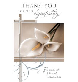 Greetings of Faith Cards (Pack of 8) - Sympathy Acknowledgement, You Are the Salt of the Earth