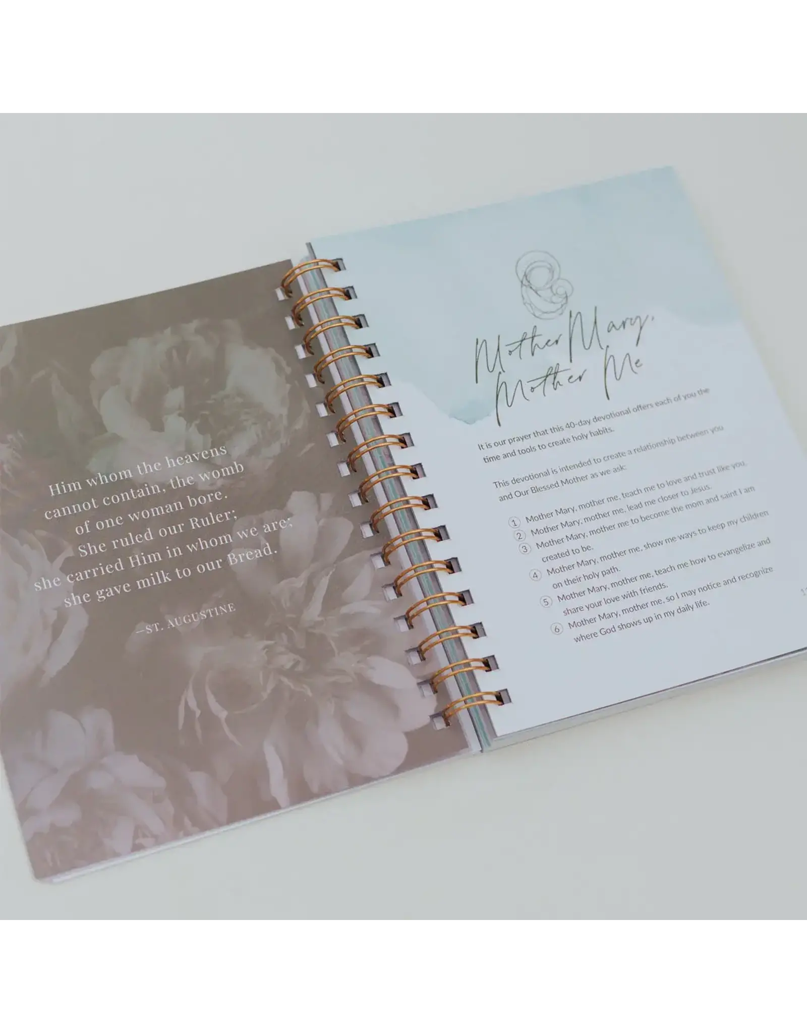 My Saint My Hero Devotional Journal - Mother Mary, Mother Me