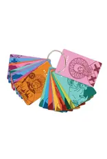 Catholic Family Crate Wisdom of the Saints on Ring