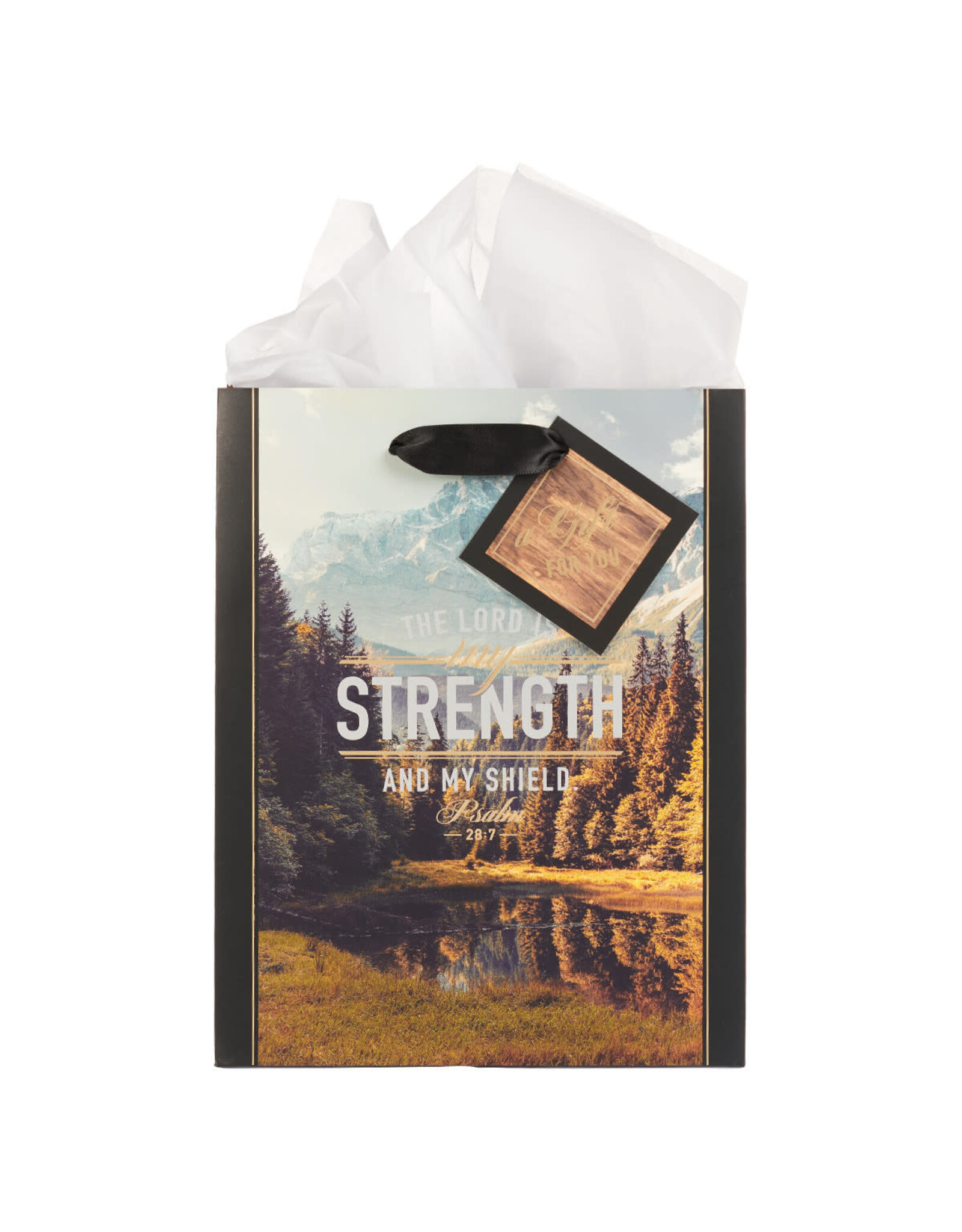 Christian Art Gifts Gift Bag - The Lord is My Strength Psalm 28:7 (Medium)