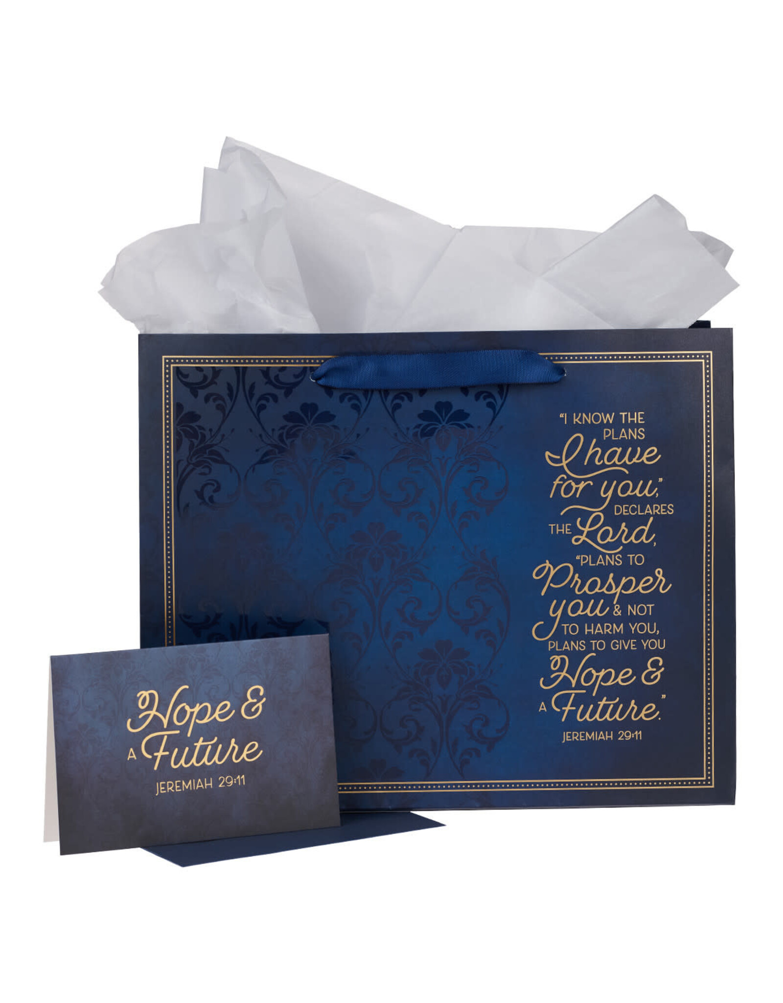 Christian Art Gifts Gift Bag - I Know The Plans with Card (Large)