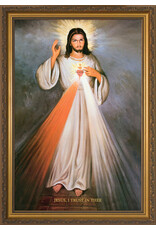Nelson Art Divine Mercy with Sacred Heart Framed Art Picture 12x18