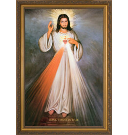 Nelson Art Divine Mercy with Sacred Heart Framed Art Picture 12x18