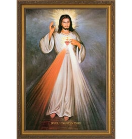 Nelson Art Picture - Divine Mercy with Sacred Heart, Framed Art (12x18")