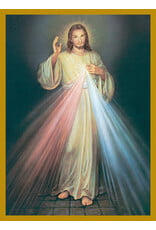 Barton Cotton Mass Cards - Living - Spanish, Divine Mercy (100)