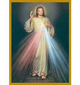 Barton Cotton Mass Cards - Living - Spanish, Divine Mercy (100)