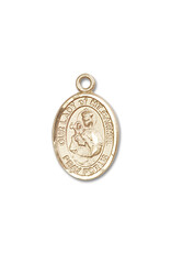 Bliss Our Lady of Mount Carmel Medal, Gold Filled