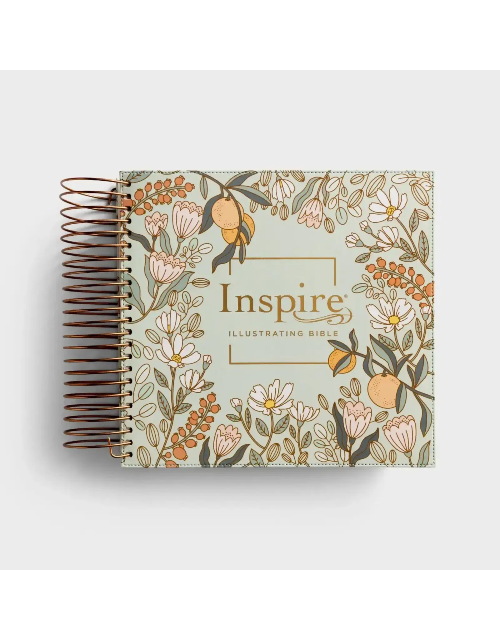 Dayspring Inspire - Illustrating Bible (NLT)