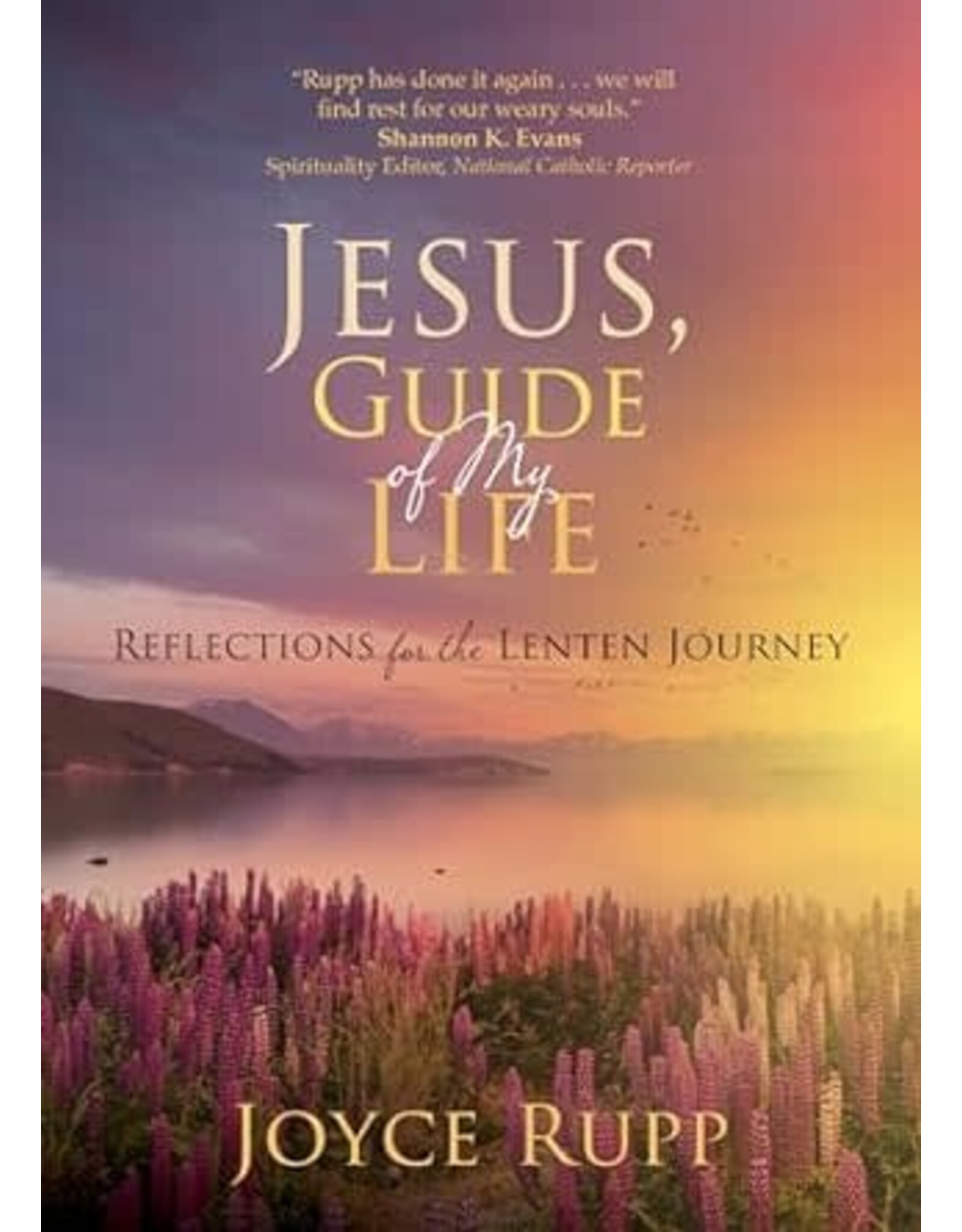Ave Maria Jesus, Guide of My Life: Reflections for the Lenten Journey