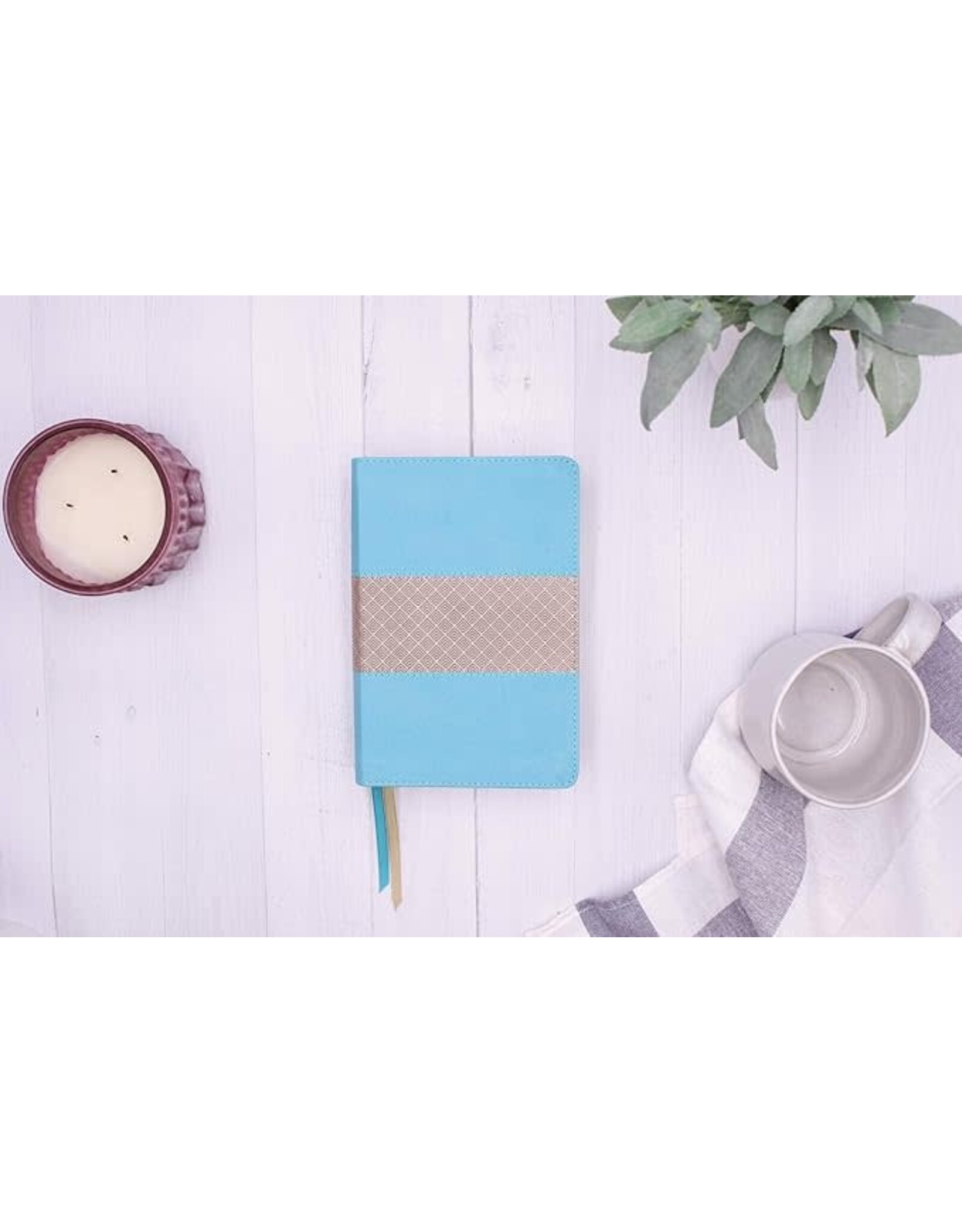 Zondervan NIV Giant Print Compact Bible, Leathersoft, Teal, Red Letter Edition, Comfort Print