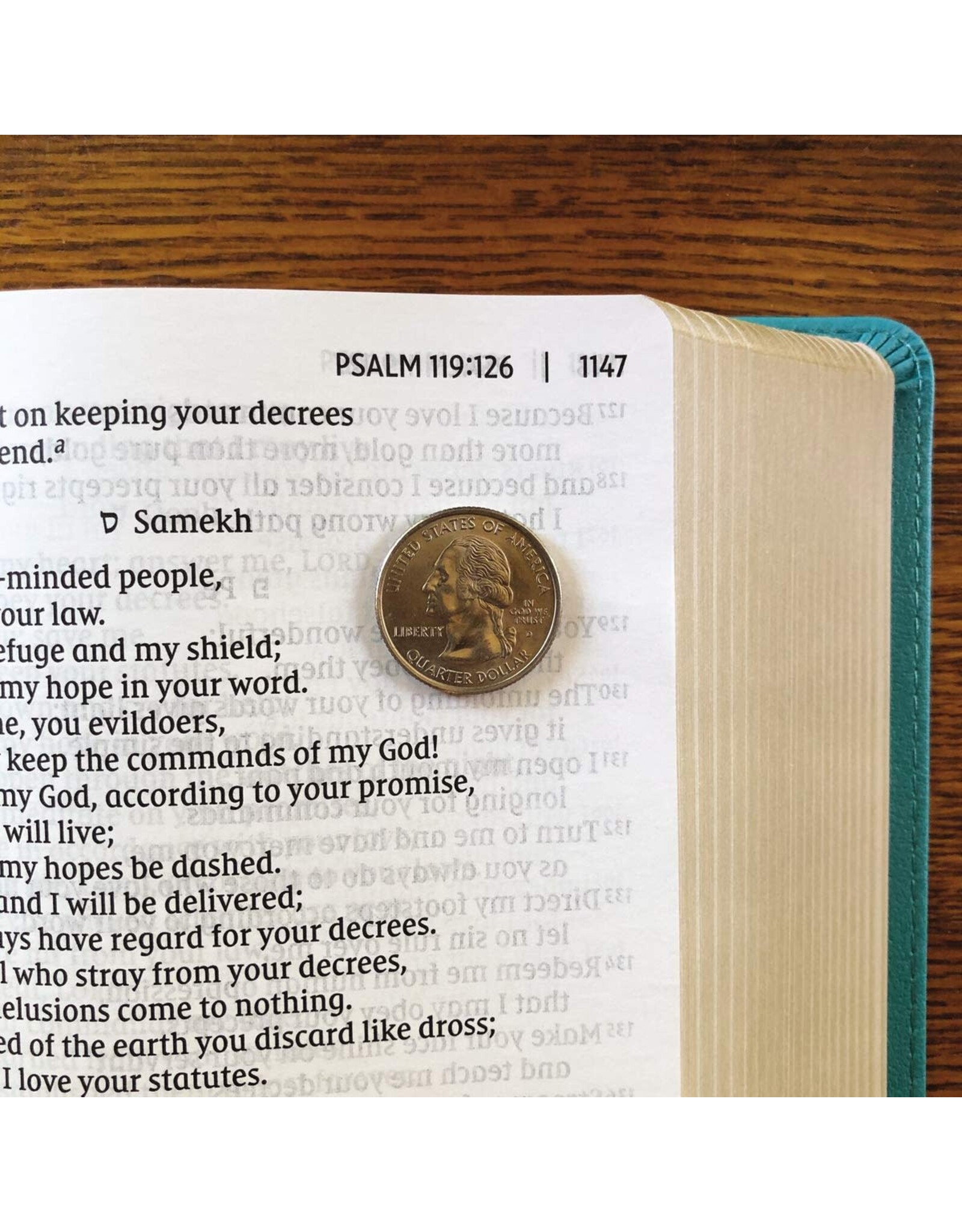 Zondervan NIV Giant Print Compact Bible, Leathersoft, Teal, Red Letter Edition, Comfort Print