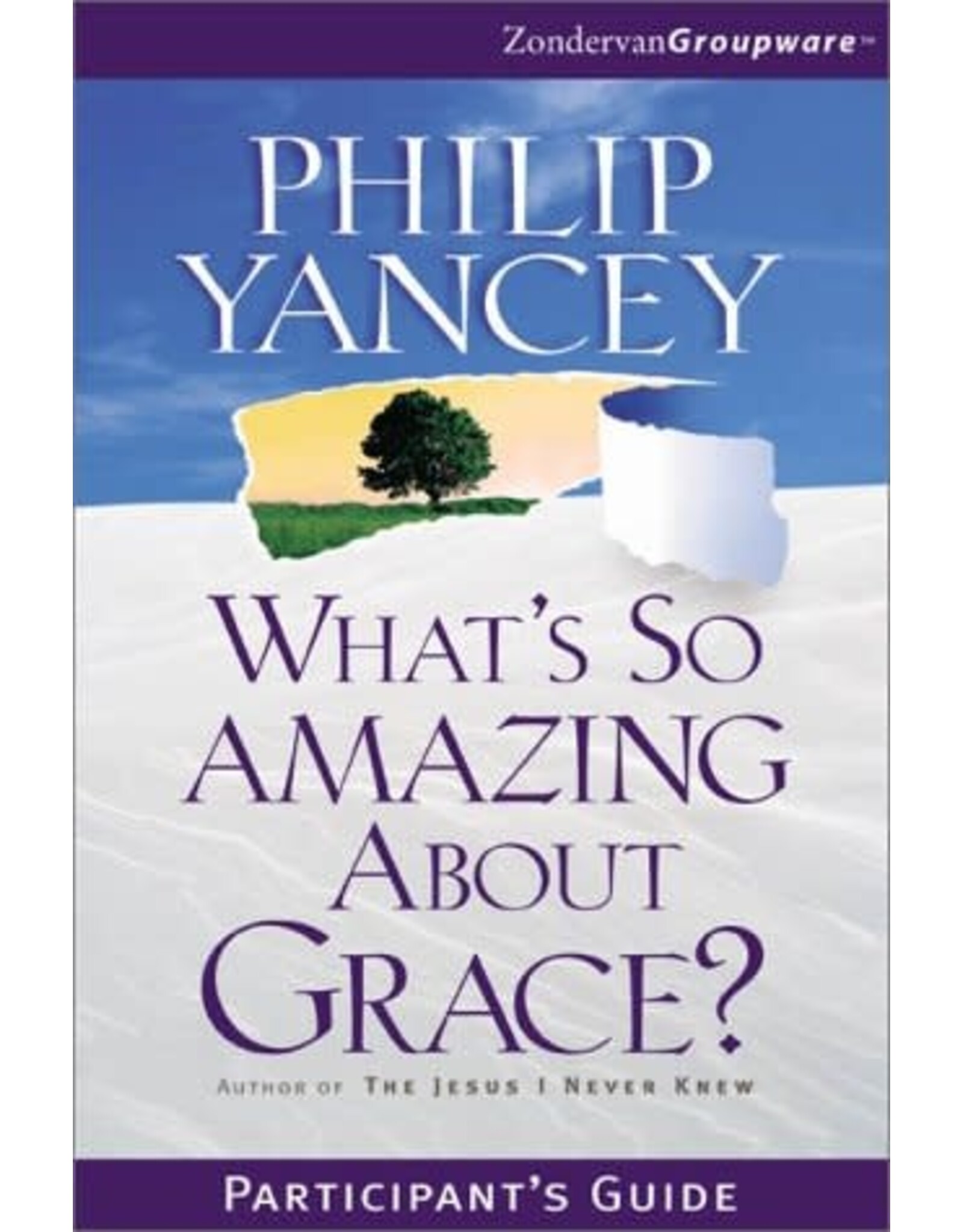 What's So Amazing About Grace?