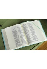 Zondervan NIV Journal the Word Bible