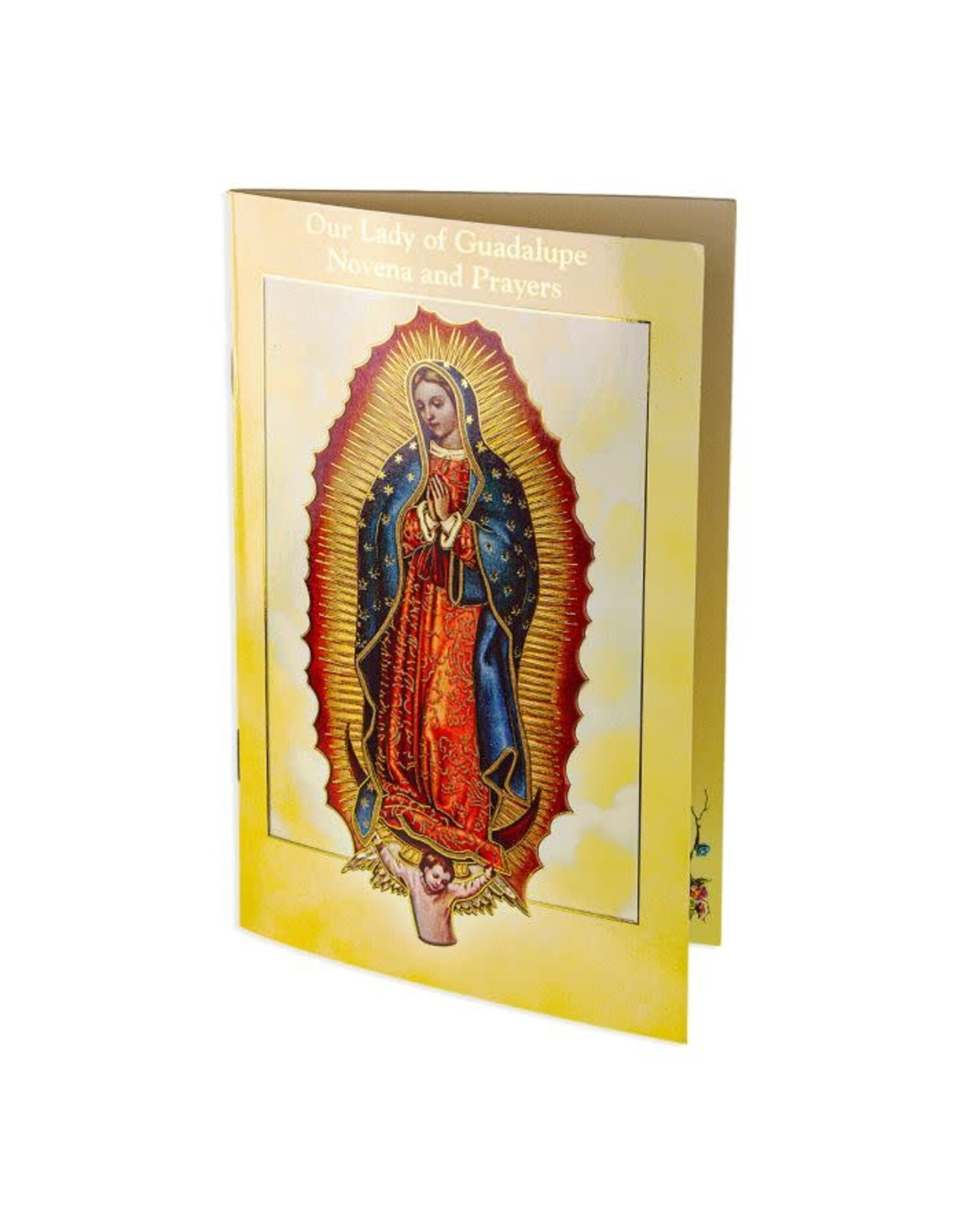 Hirten Novena - Our Lady of Guadalupe