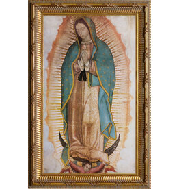 Nelson Art Our Lady of Guadalupe (Traditional) Framed Canvas Picture