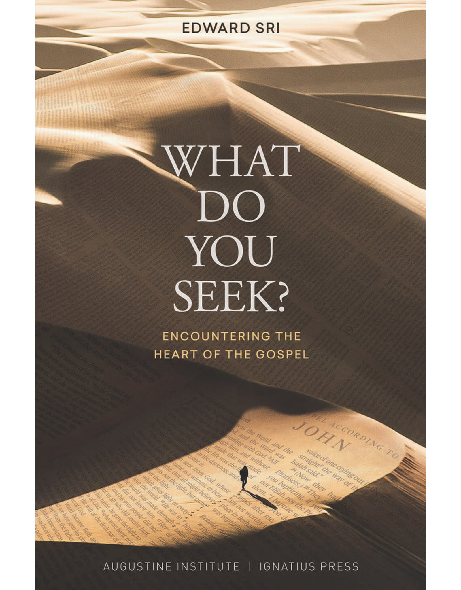 Ignatius Press What Do You Seek?  Encountering the Heart of the Gospel