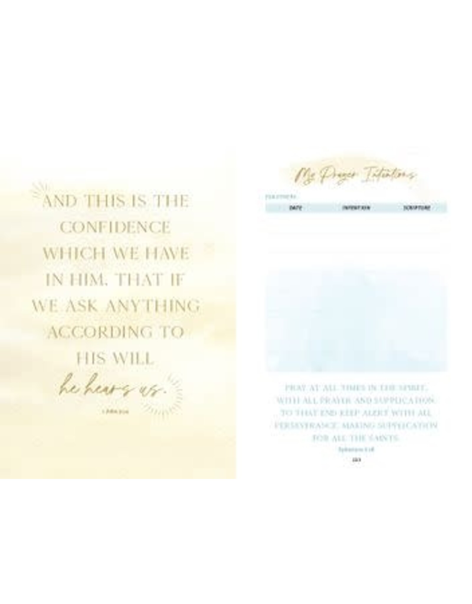 Ave Maria Living the Word Companion Journal