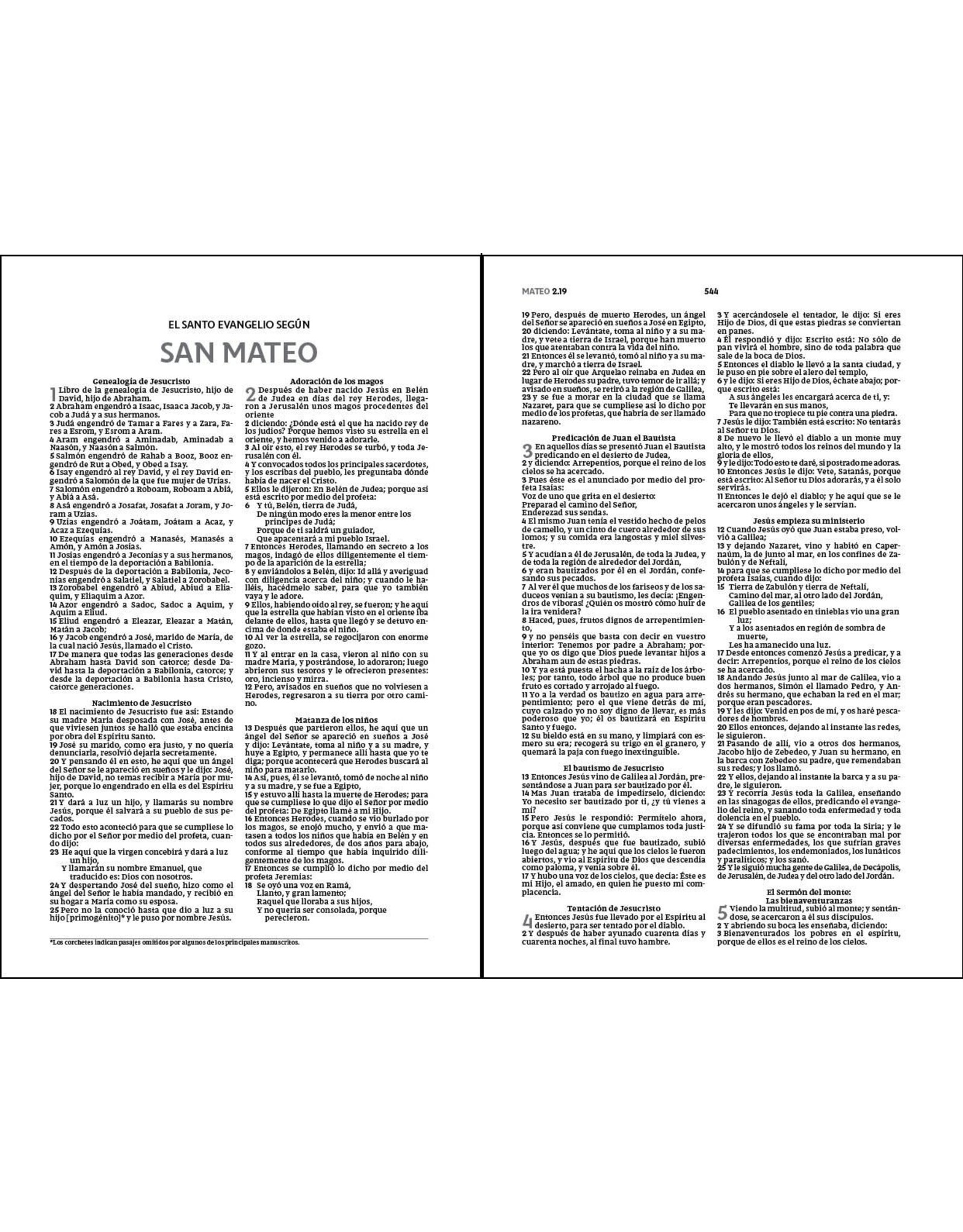 Vida Publishers Santa Biblia Reina Valera Edicion Econimica