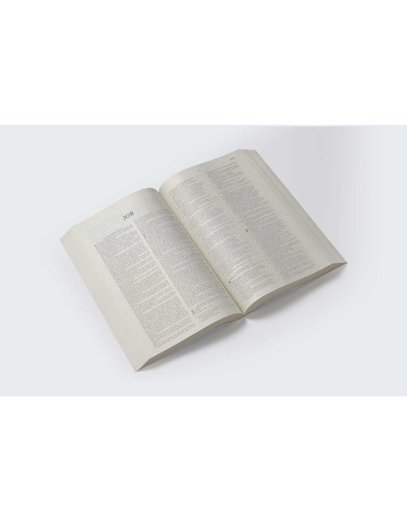 Vida Publishers Santa Biblia Reina Valera Edicion Econimica