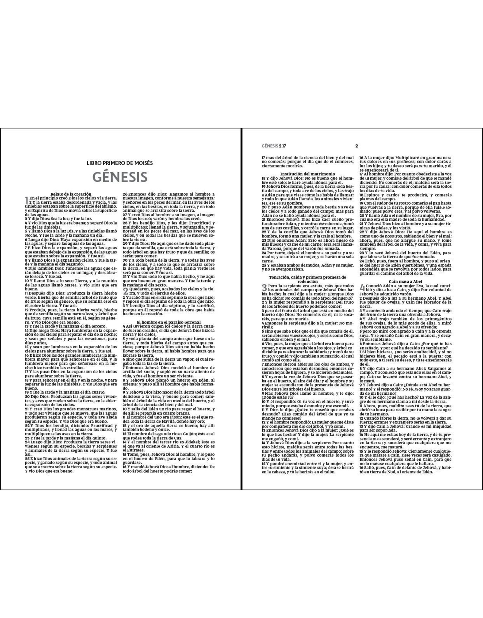 Vida Publishers Santa Biblia Reina Valera Edicion Econimica