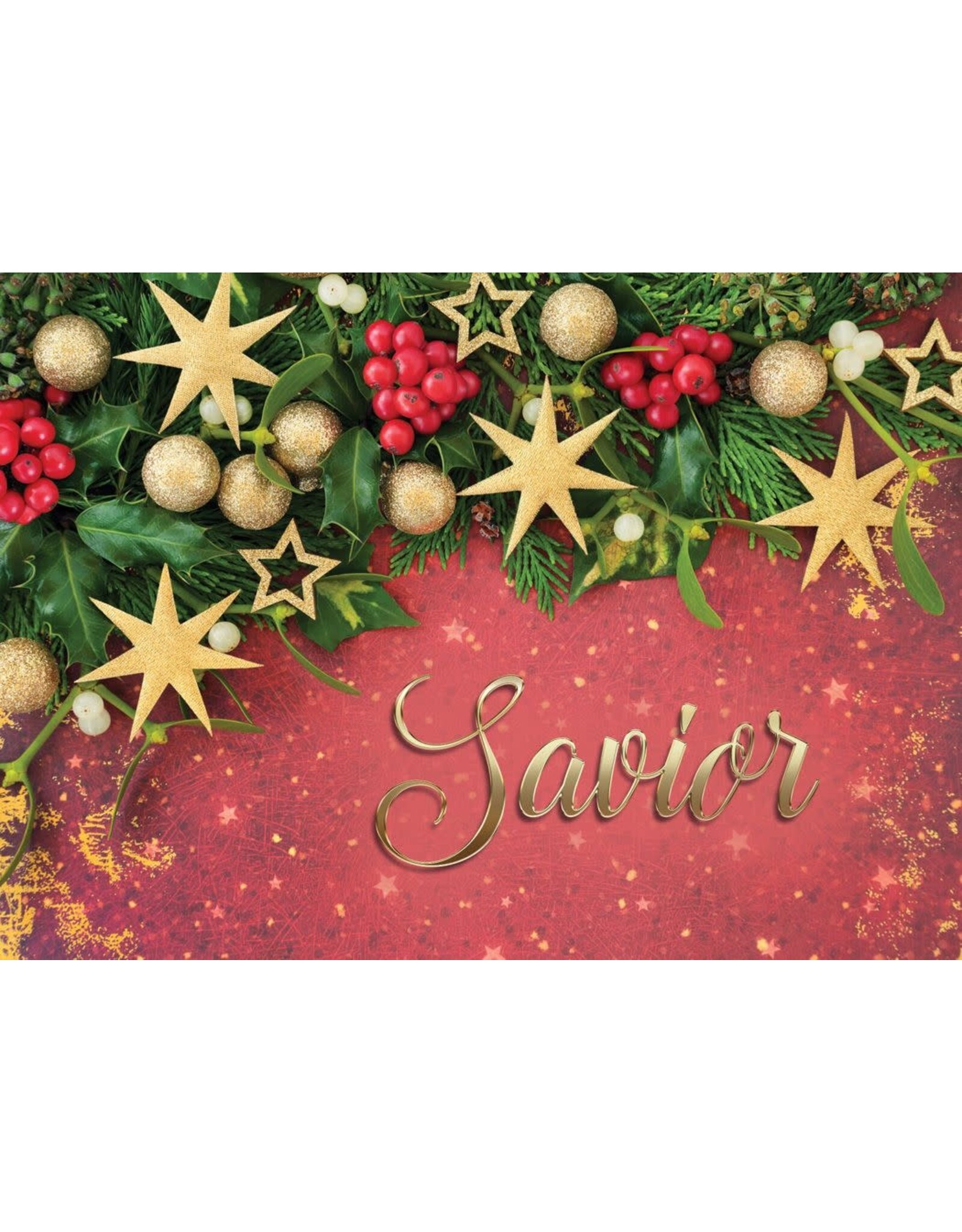 Hermitage Art Boxed Christmas Cards - Immanuel, NIV (12)