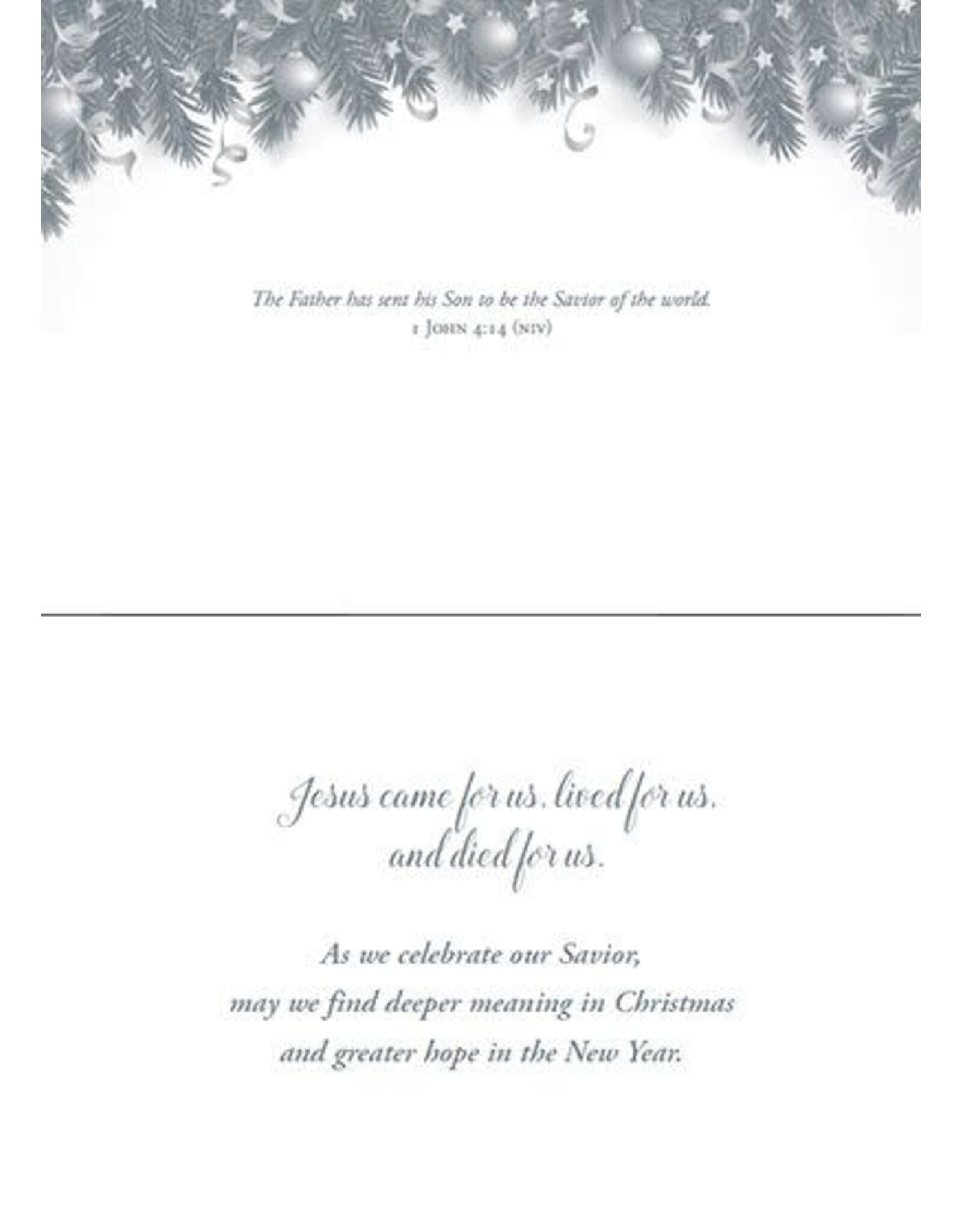 Hermitage Art Boxed Christmas Cards - Immanuel, NIV (12)