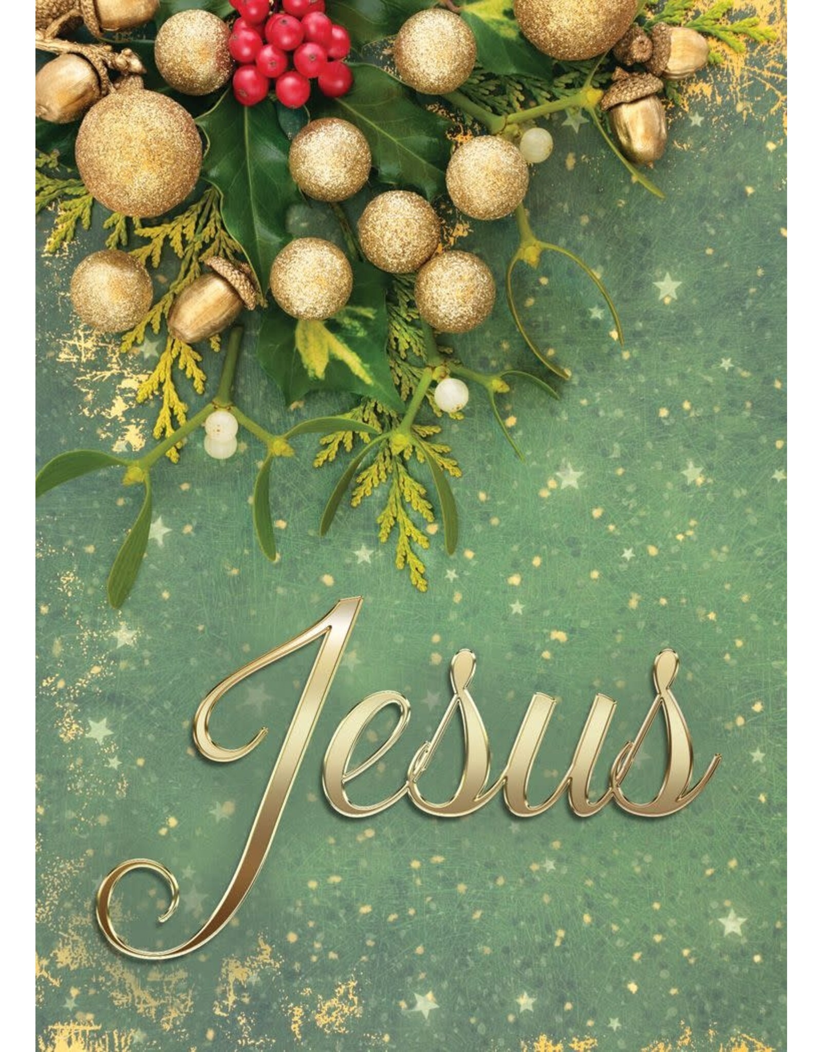 Hermitage Art Boxed Christmas Cards - Immanuel, NIV (12)