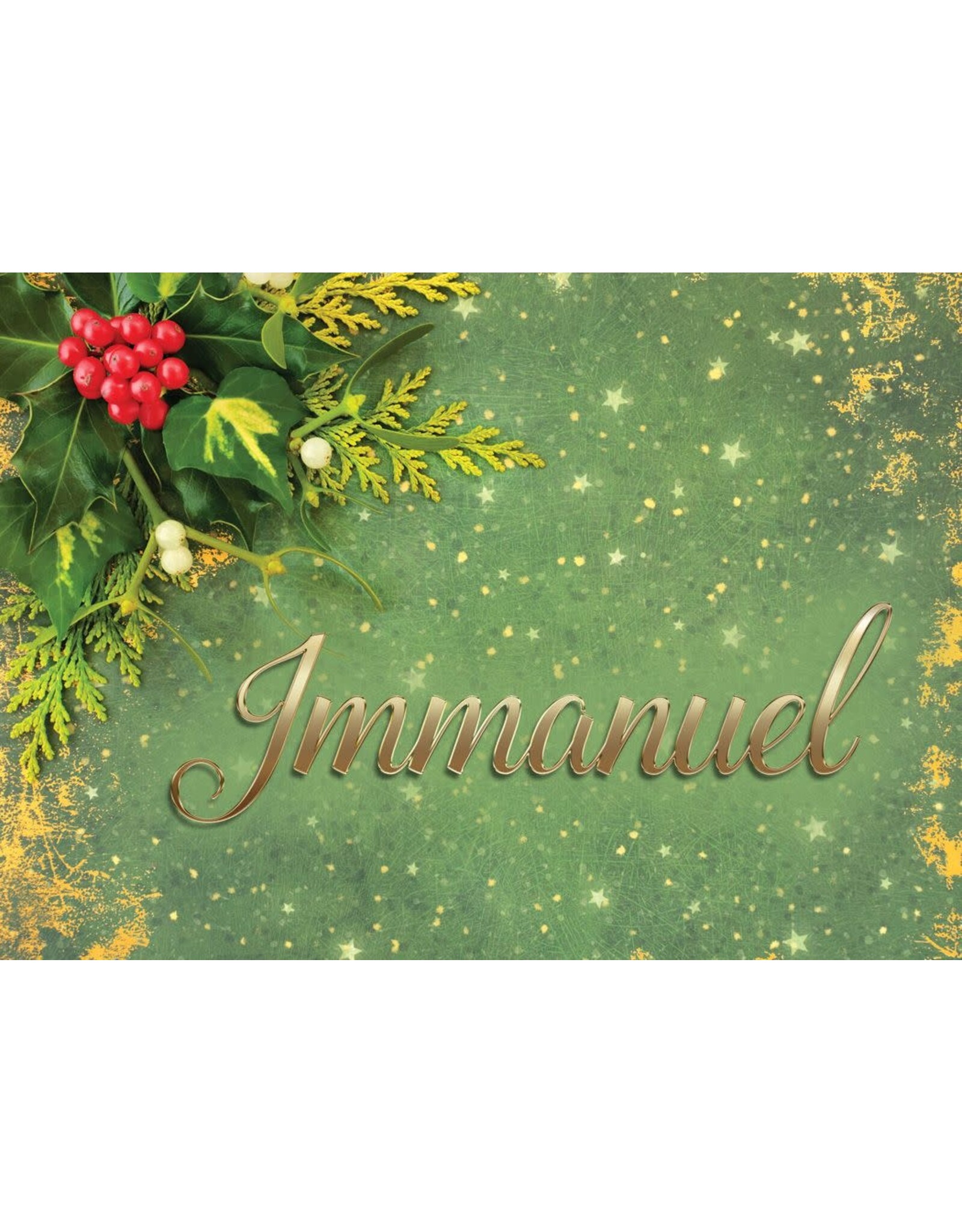 Hermitage Art Boxed Christmas Cards - Immanuel, NIV (12)