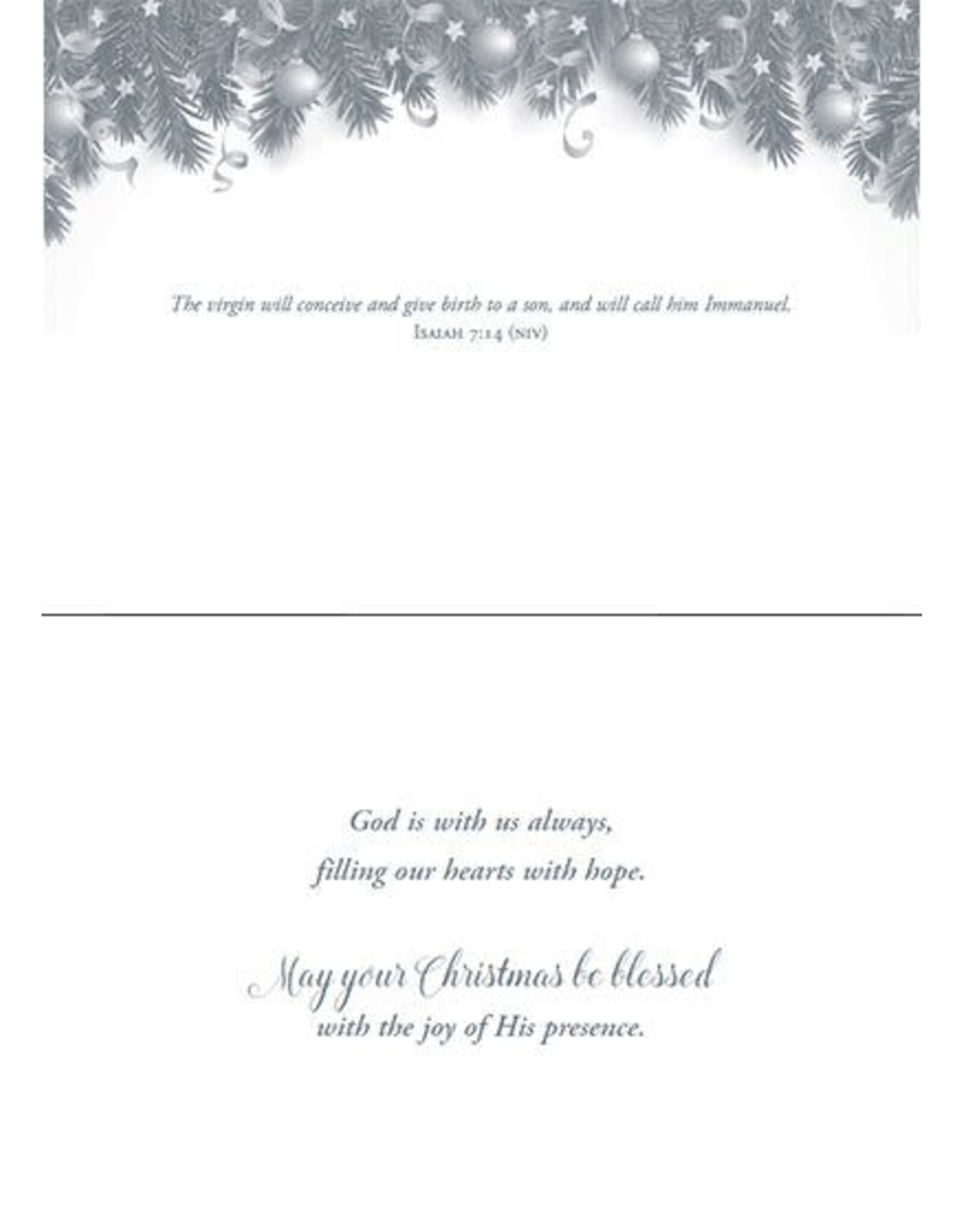 Hermitage Art Boxed Christmas Cards - Immanuel, NIV (12)