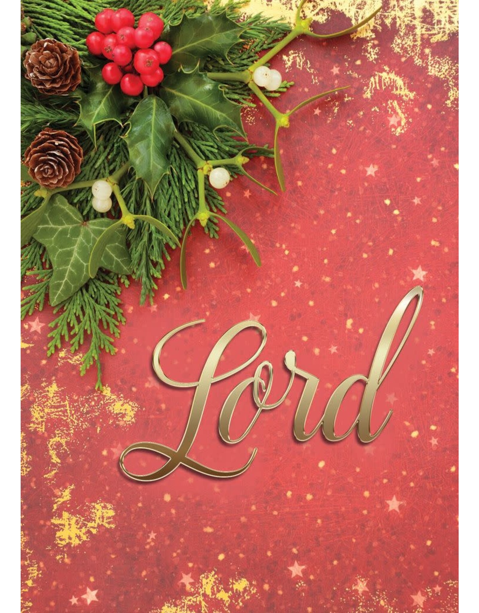 Hermitage Art Boxed Christmas Cards - Immanuel, NIV (12)