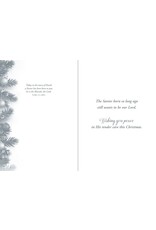 Hermitage Art Boxed Christmas Cards - Immanuel, NIV (12)