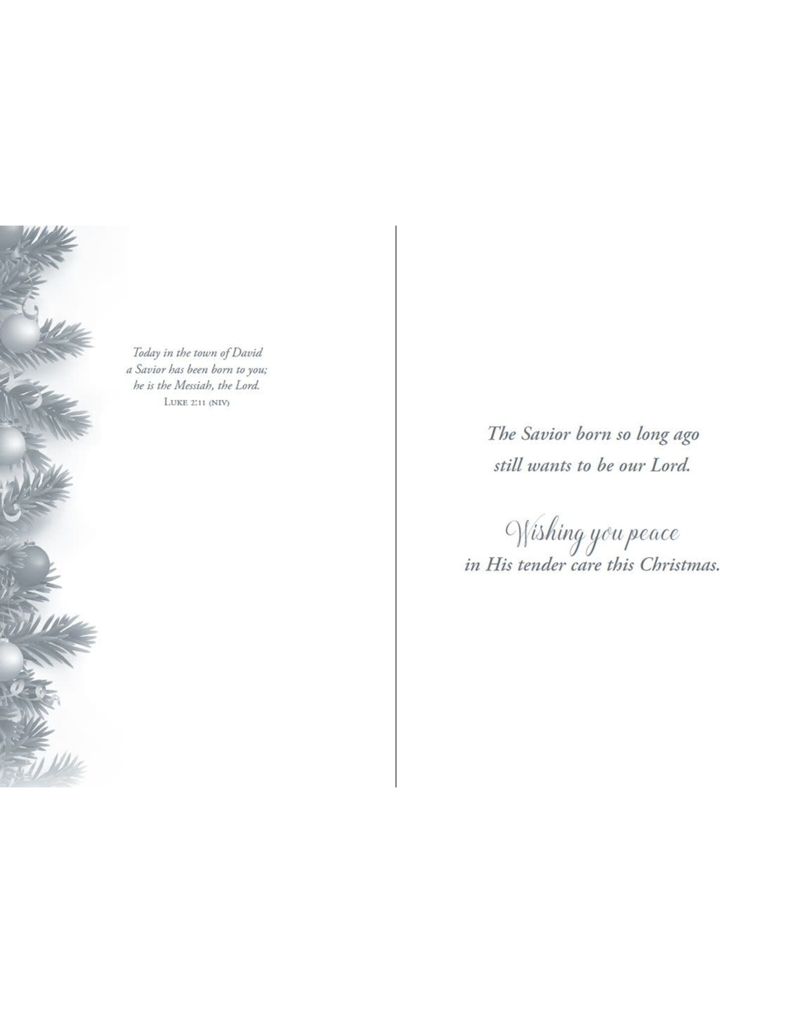 Hermitage Art Boxed Christmas Cards - Immanuel, NIV (12)