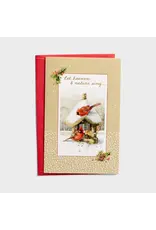 Dayspring Boxed Christmas Cards - Let Heaven and Nature Sing, Cardinal (18)