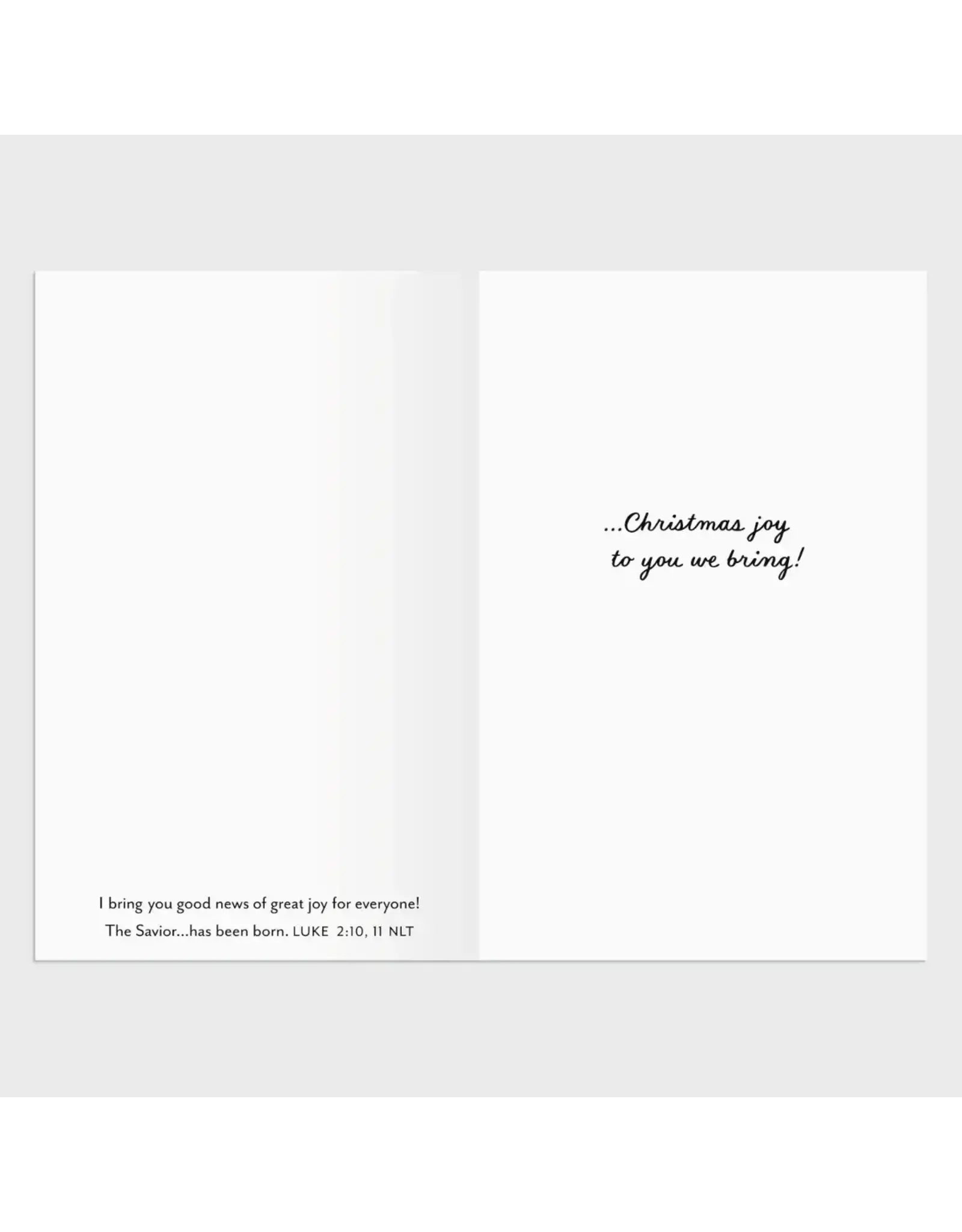 Dayspring Boxed Christmas Cards - Let Heaven and Nature Sing, Cardinal (18)