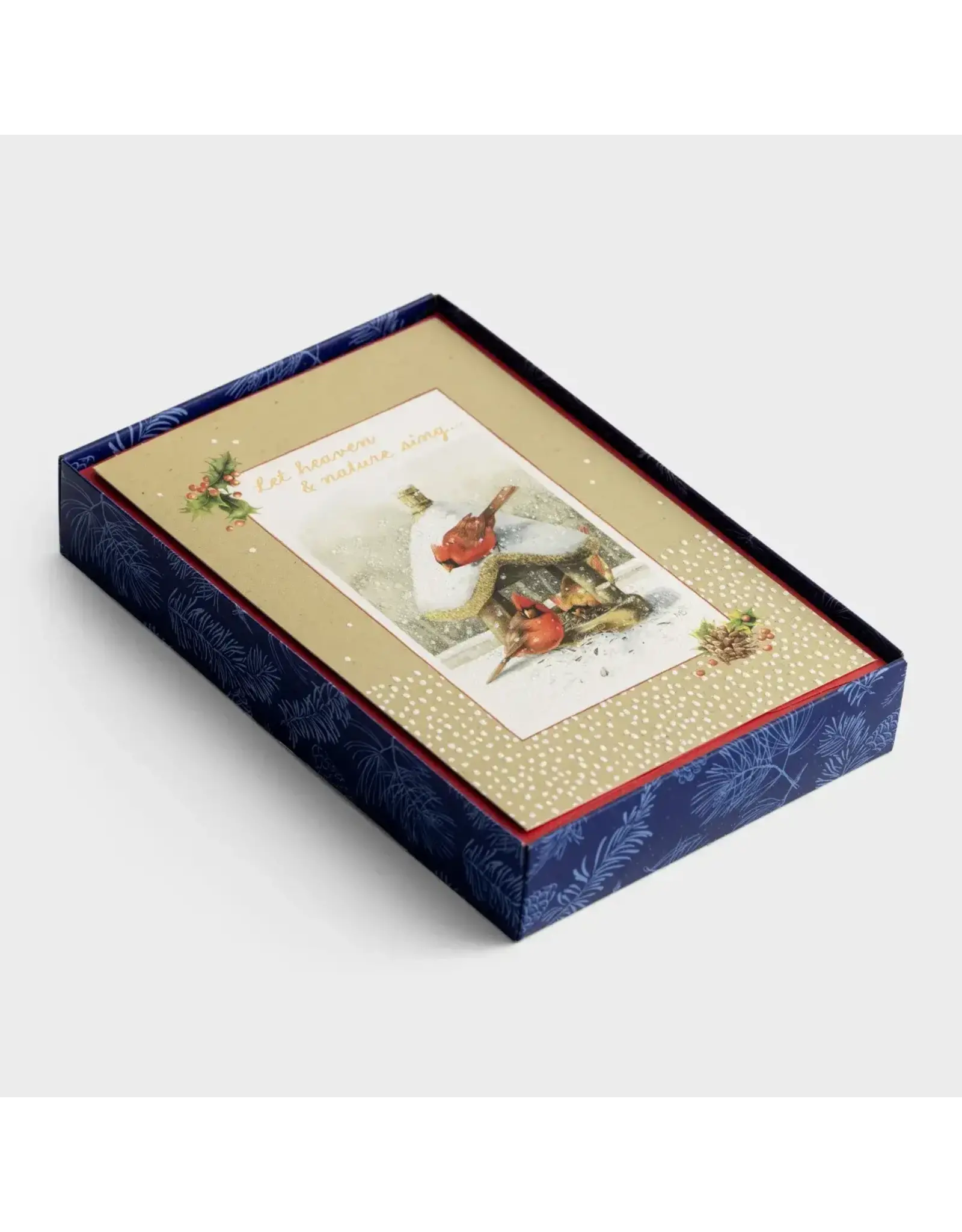 Dayspring Boxed Christmas Cards - Let Heaven and Nature Sing, Cardinal (18)