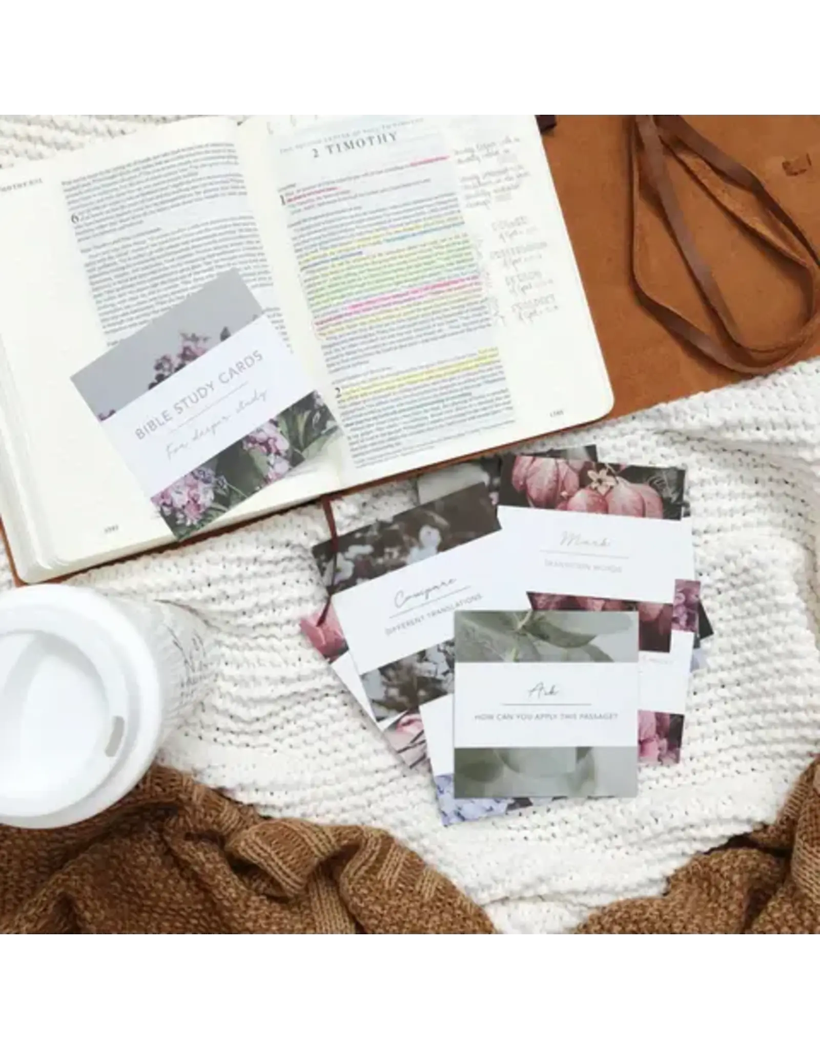 The Daily Grace Co. Bible Study Cards