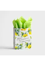Dayspring Gift Bag - Your Kindness is a Blessing (Medium)