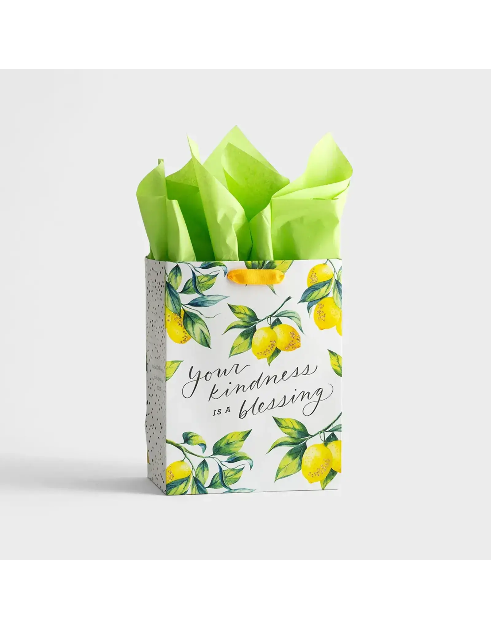 Dayspring Gift Bag - Your Kindness is a Blessing (Medium)