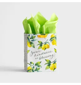 Dayspring Gift Bag - Your Kindness is a Blessing (Medium)