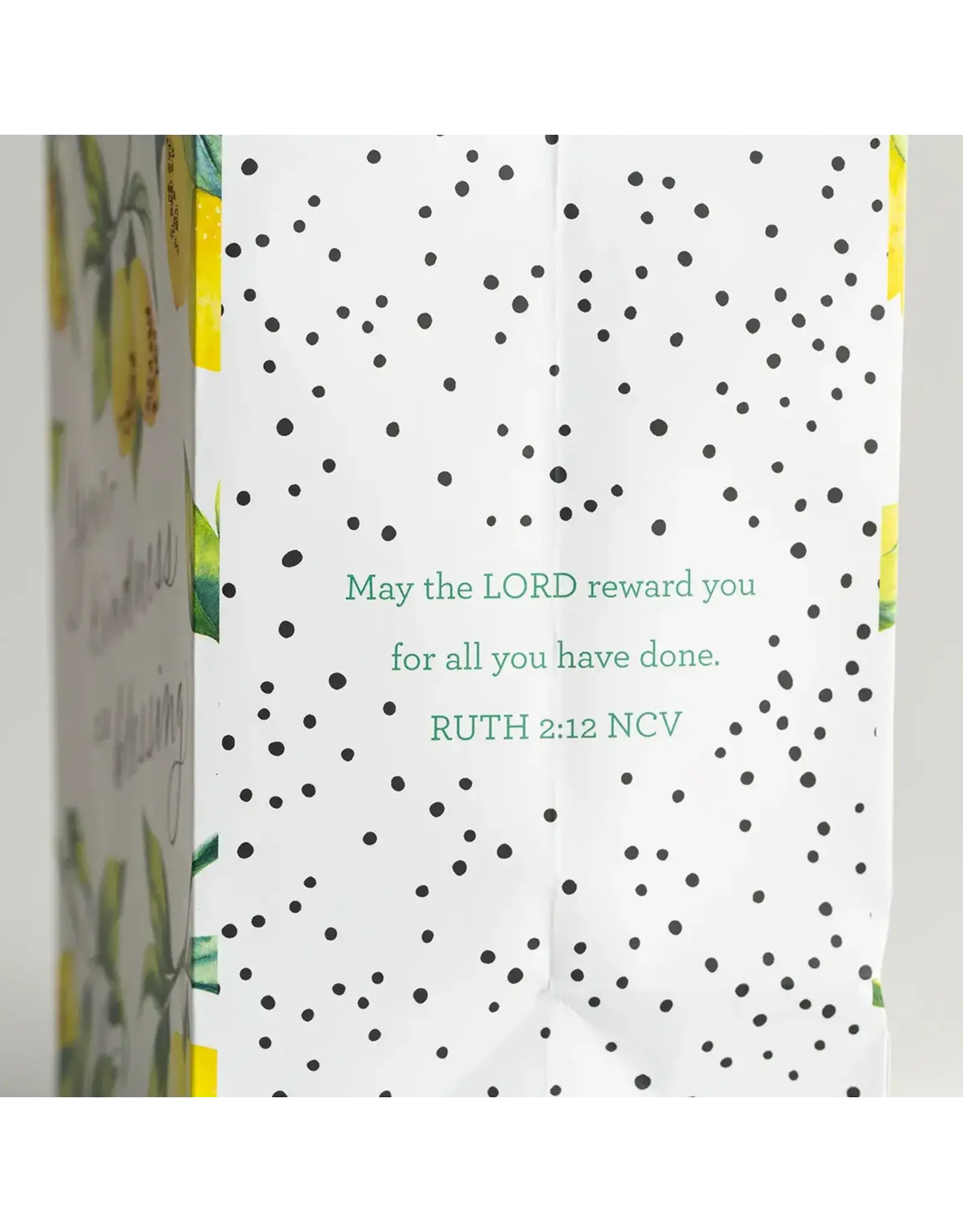 Dayspring Gift Bag - Your Kindness is a Blessing (Medium)