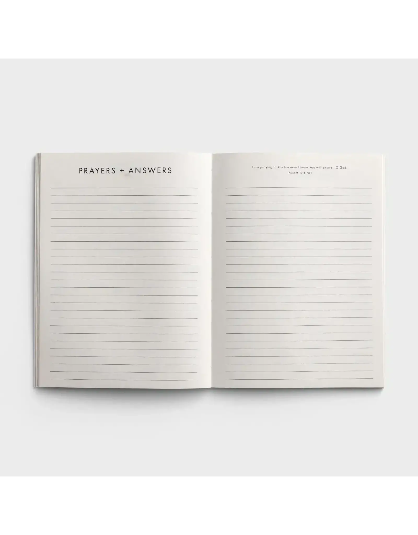 Dayspring 2025 Planner - In Him All Things Hold Together