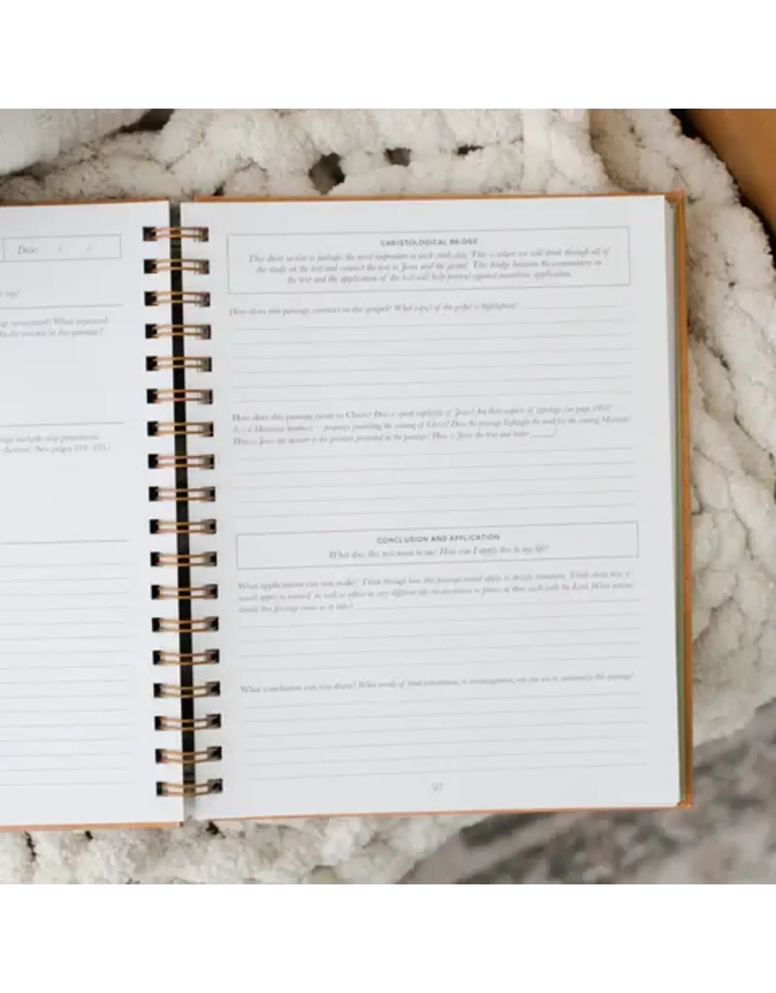 The Daily Grace Co. In the Word Journal - Leatherette Floral