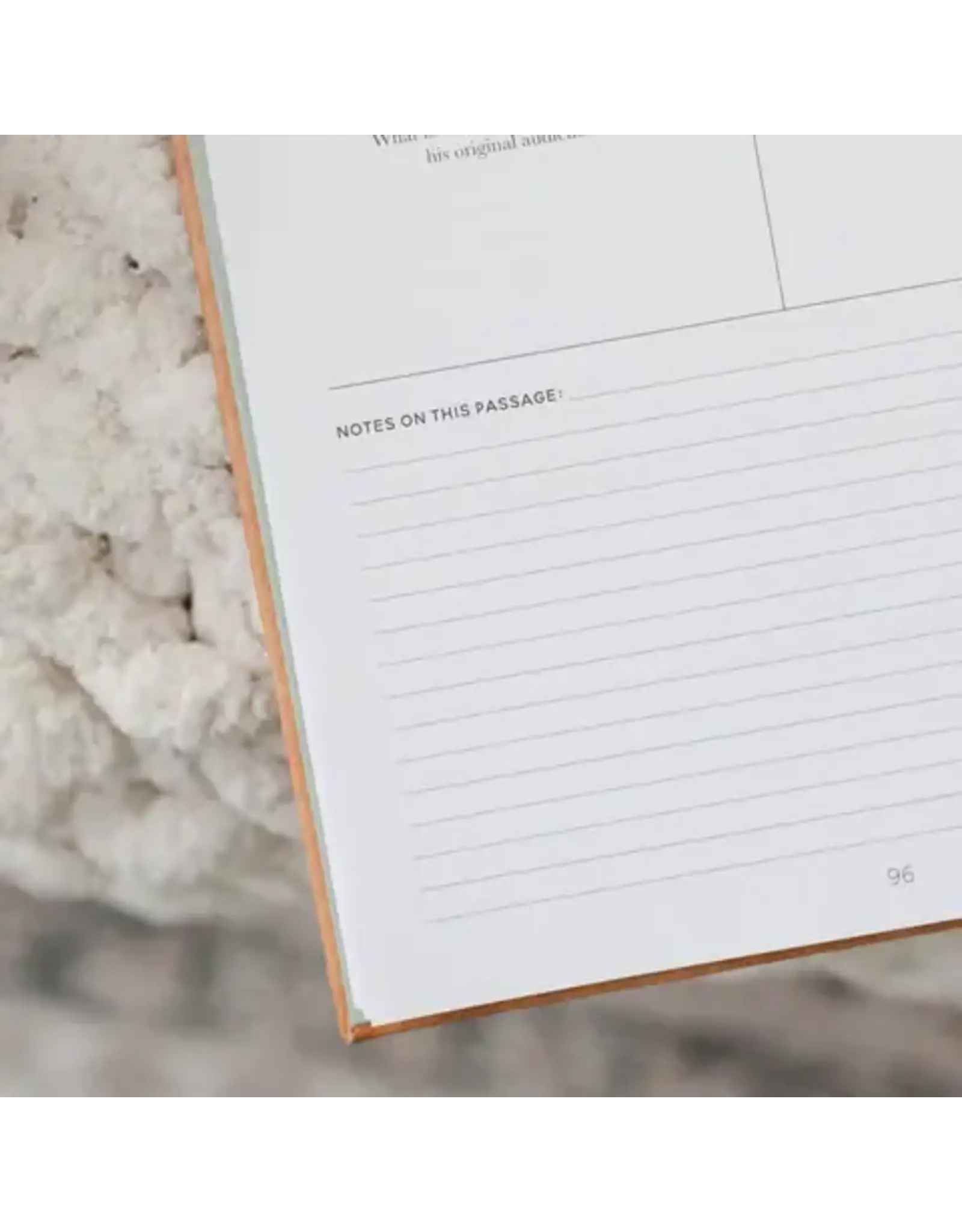 The Daily Grace Co. In the Word Journal - Leatherette Floral