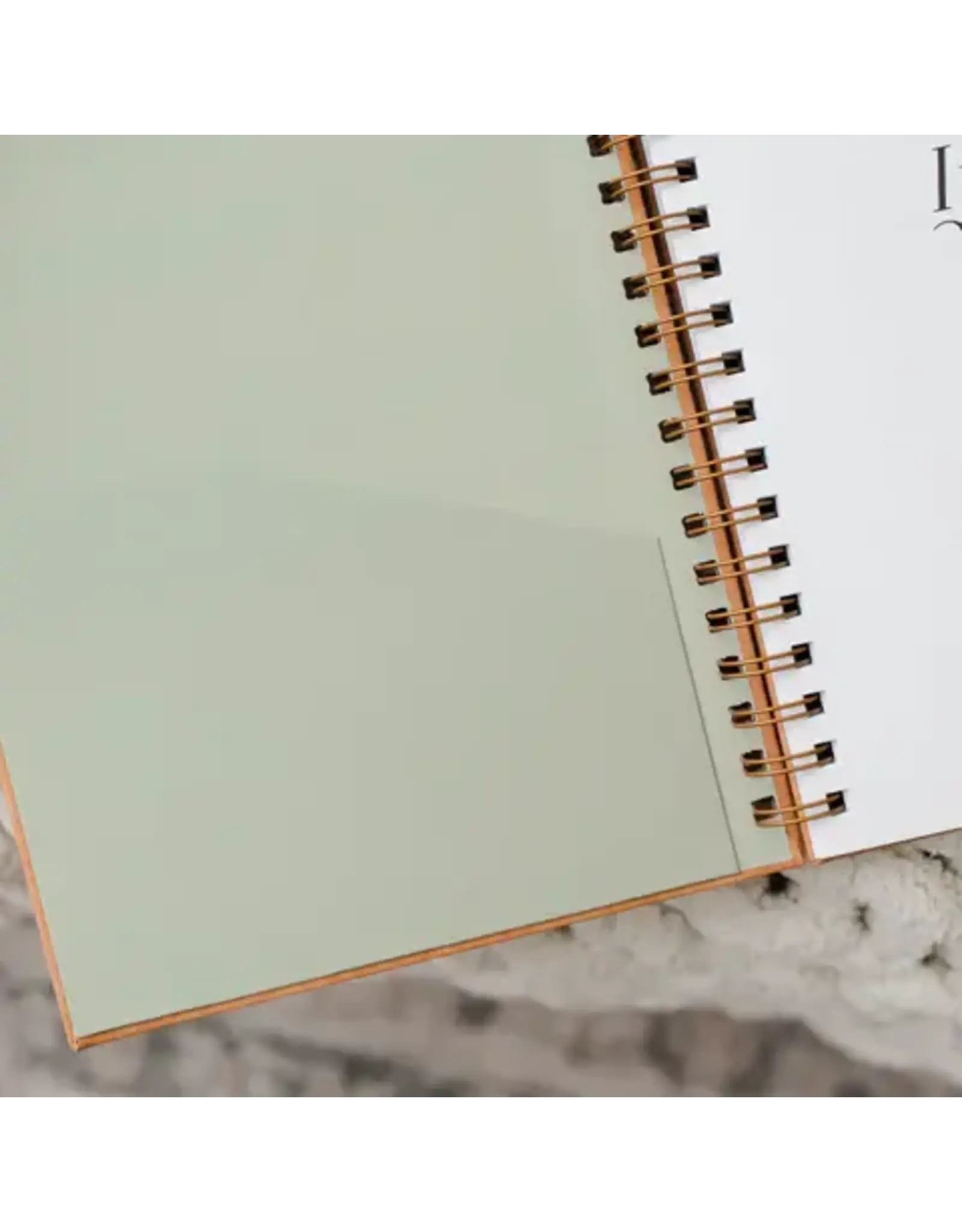 The Daily Grace Co. In the Word Journal - Leatherette Floral