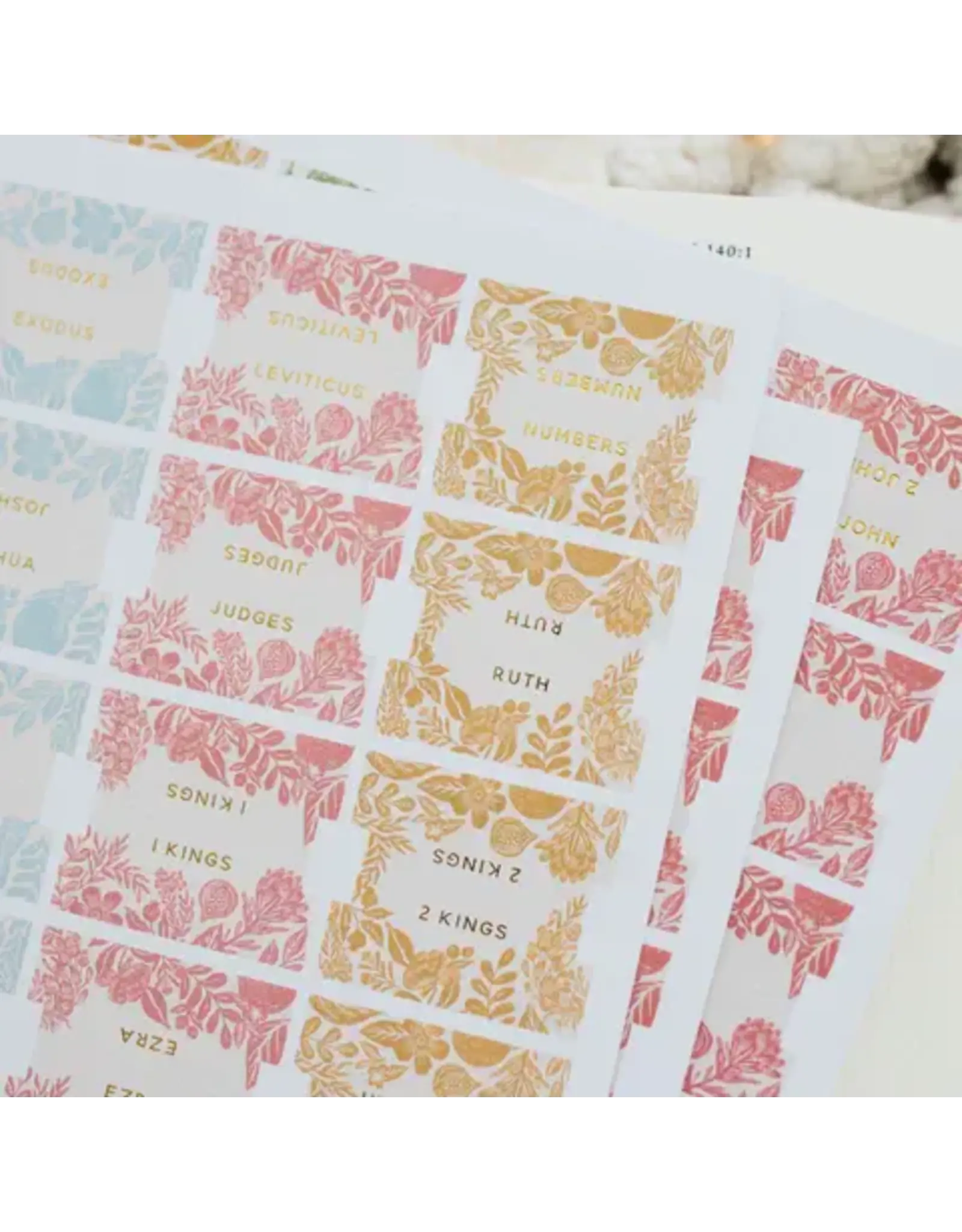 The Daily Grace Co. Bible Tabs - Citrus