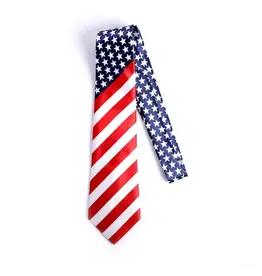 Swanson Tie - American Flag